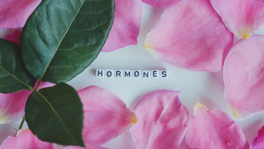 7 Surprising Ways Castor Oil Supports Hormone Balance (Naturally!)